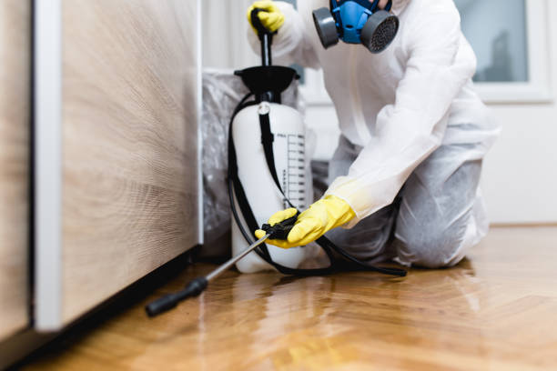 Best Bed Bug Extermination  in Roland, AR