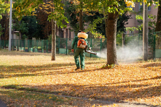 Best Cockroach Control Services  in Roland, AR