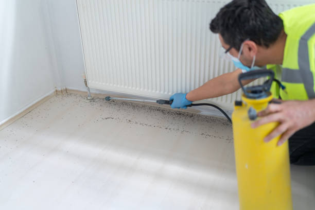Pest Prevention Services in Roland, AR