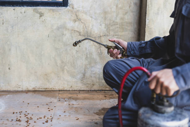 Best Flea Control Services  in Roland, AR