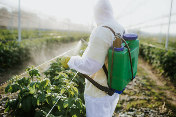 Best Best Pest Control Companies  in Roland, AR